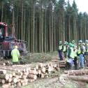 Visite d'un chantier d'exploitation forestière